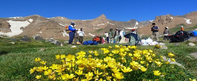 حال گیاهان کوهستانی خوب نیست