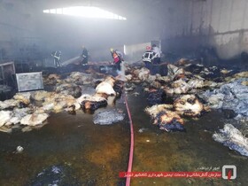 آتش سوزی در کارگاه تولیدی پوشال در جاده پتروشیمی تبریز 