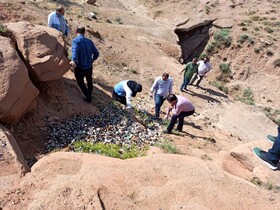 داروهای رها شده در جاده بابا باغی جمع آوری شد