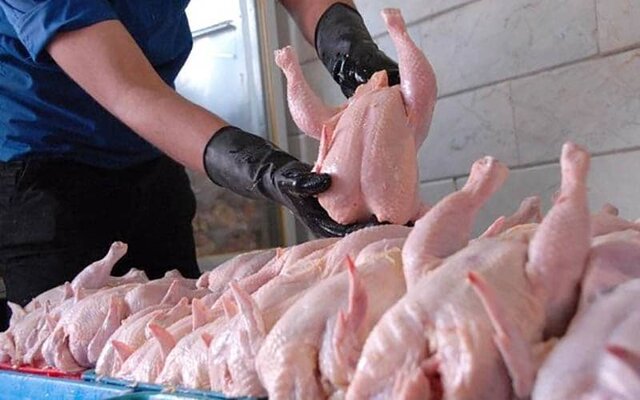 ضرورت برخورد دستگاه های نظارتی با گرانفروشان مرغ در آذربایجان شرقی