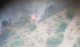 آتش سوزی در جنگل‌های ارسباران در کمترین زمان ممکن مهار شد