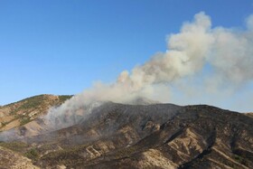 هشدار مدیرکل حفاظت محیط زیست آذربایجان شرقی در خصوص آتش سوزی جنگل‌ها