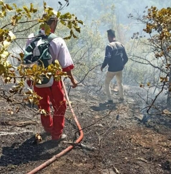 جزییات آتش سوزی در مراتع مشجر مشرف به جنگل‌های ارسباران