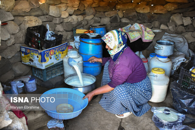 رشد ۱۲ درصدی تولیدات عشایر آذربایجان شرقی