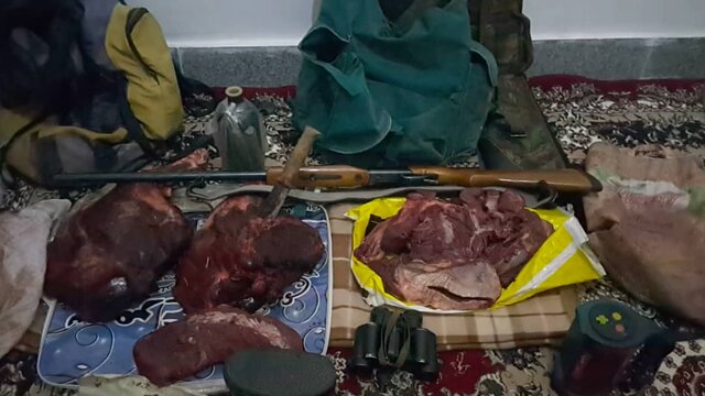 دستگیری شکارچی غیرمجاز خوک وحشی در پناهگاه حیات وحش کیامکی