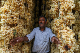 ازخوشههای طلایی تا کشمش و دوشاب