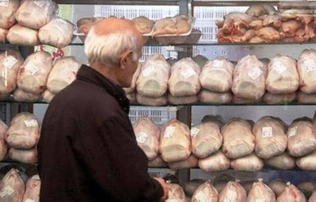 آغاز توزیع ۴۸۰ تن مرغ منجمد با نرخ کیلویی ۱۵۵۰۰ تومانی در آذربایجان شرقی
