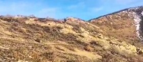 مهار آتش‌سوزی در منطقه کوهستانی دیوری کلیبر