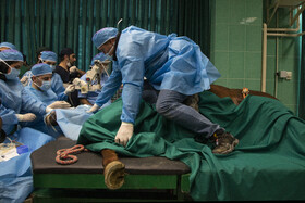 تلاش چند ساعته برای شفای چشمان ۵ حیوان نابینا و کمبینا