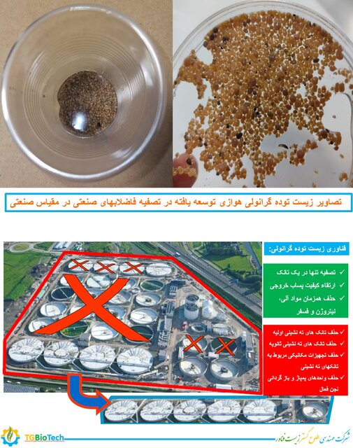 اجرای موفقیت آمیز اولین واحد تصفیه فاضلاب صنعتی ﺑﺎ ﻓﻨﺎﻭﺭی ﺯﻳﺴﺖ ﺗﻮﺩﻩ ﮔﺮﺍﻧﻮﻟﯽ هوازی