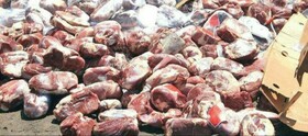 کشف ۱۳۴ کیلوگرم گوشت غیر بهداشتی و فاقد مجوز در مراغه