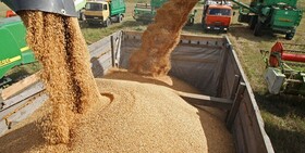  ۱.۴ میلیون تن گندم مازاد برمصرف کشاورزان در کشور خریداری شده است