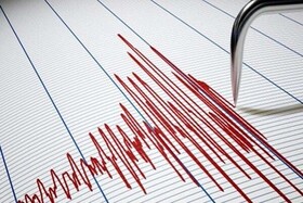 گسل تبریز هر سال زلزله‌هایی در حدود ۳ الی ۴.۸ ریشتری دارد