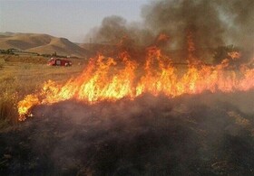 آتش سوزی در منطقه جنگلی "پیر داود" شهرستان ورزقان