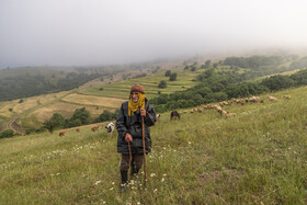 ایران زیباست؛ طبیعت شهرستان گِرمی
