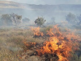 عامل آتش سوزی عمدی مراتع طبیعی میانه دستگیر شد