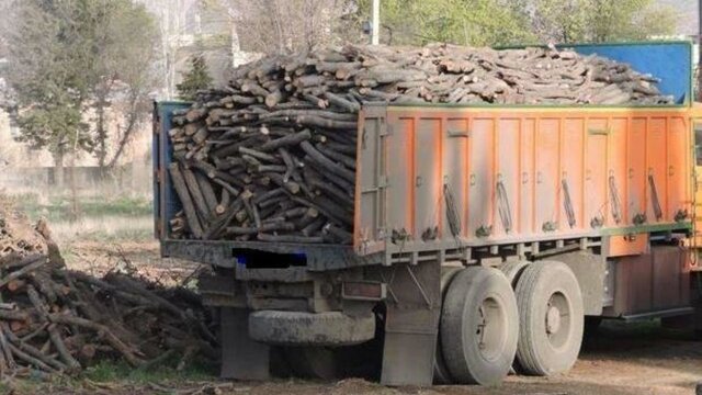 بیش از 38 تن چوب قاچاق در ملکان توقیف شد