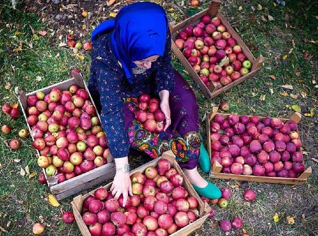 پروانه گردشگری کشاورزی در چهار شهر آذربایجان‌شرقی صادر شد