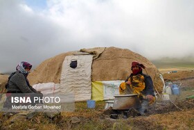 تولید ۲۰ درصد پروتئین و گوشت قرمز آذربایجان شرقی توسط عشایر ارسباران