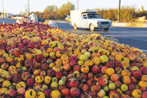 باد، سیب‌های آذربایجان شرقی را به ریزش انداخت/ سیب‌های صنعتی کنار جاده در انتظار انتقال
