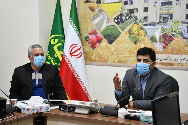 کشت قراردادی گندم و کلزا در آذربایجان‌ شرقی در دستور کار قرار گرفته است