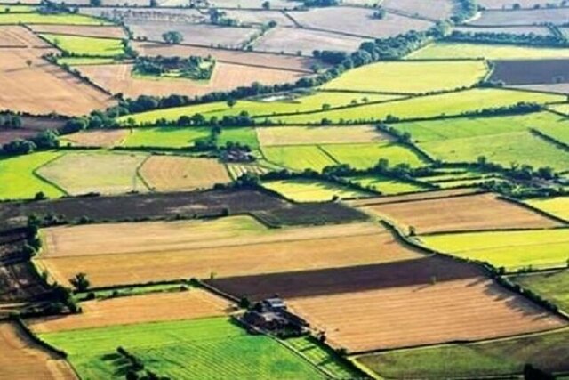 تولید به قیمت هدررفت آب/ جای خالی تکنولوژی در حوزه کشاورزی