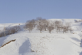 طبیعت برفی هرگلان