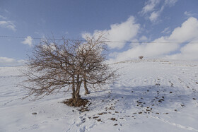 طبیعت برفی هرگلان