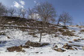 طبیعت برفی هرگلان