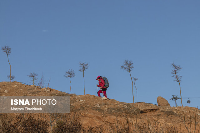 از نواختن سهتار تا فتح آرارات/ مهندسانی که به دروازههای علم محدود نمیشوند