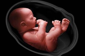 اغلب نقص‌های تکاملی قلب جنین در ۳ ماه اول بارداری ایجاد می‌شود