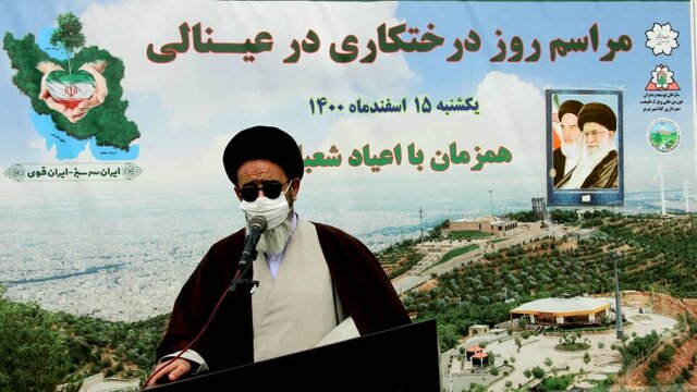 ضرورت برخورد قاطع با عاملین قطع درختان