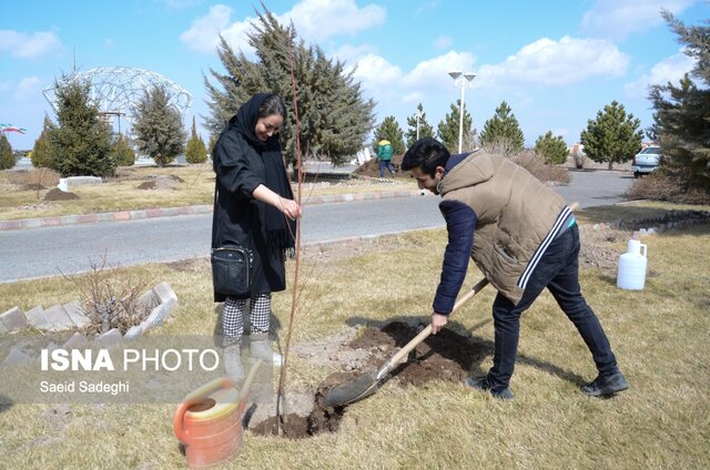 ارزش گذاری همکاری صنایع مختلف با دانشگاه صنعتی سهند با کاشت نهال در هفته درختکاری