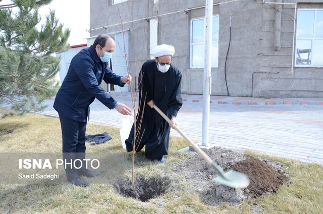ارزش گذاری همکاری صنایع مختلف با دانشگاه صنعتی سهند با کاشت نهال در هفته درختکاری