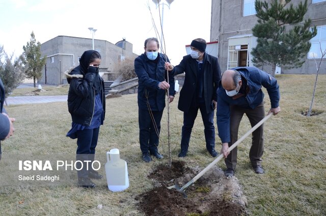 ارزش گذاری همکاری صنایع مختلف با دانشگاه صنعتی سهند با کاشت نهال در هفته درختکاری