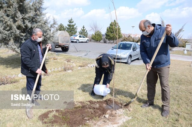 ارزش گذاری همکاری صنایع مختلف با دانشگاه صنعتی سهند با کاشت نهال در هفته درختکاری