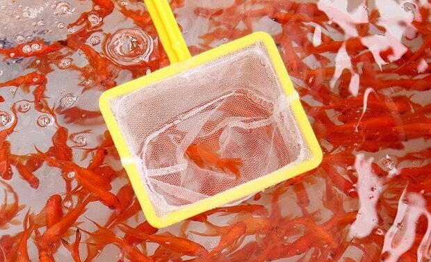 شمارش معکوس تا بهار ۱۴۰۱