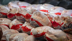 توزیع ۱۳۰ تن گوشت مرغ بین نیازمندان استان مرکزی