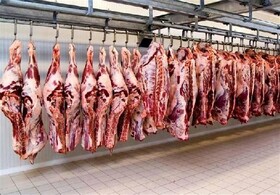 توزیع گوشت تنظیم بازار از روز دوشنبه در تبریز آغاز می‌شود