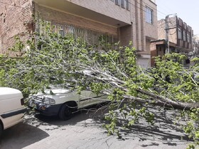 آخربن وضعیت خسارات وزش تندبادهای شدید در آذربایجان شرقی