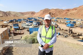 پیگیری مدیران شهری برای راه اندازی میدان دائمی دواب در تبریز