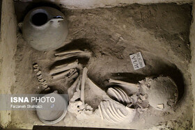 تأملی بر قدمت حیات پیش از دوره آهن در «سایت موزه عصر آهن تبریز»