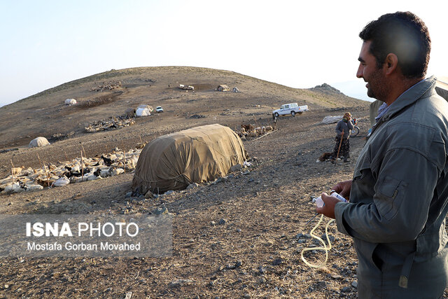 طرح واکسیناسیون رایگان دام سبک عشایر آذربایجان شرقی