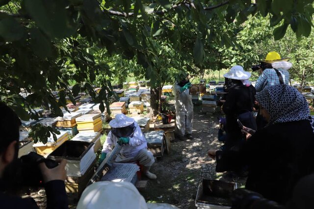 جاذبه های کشاورزی شهرستان اهر