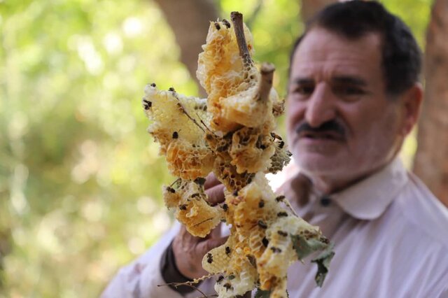 جاذبه های کشاورزی شهرستان اهر