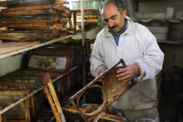 جاذبه های کشاورزی شهرستان اهر