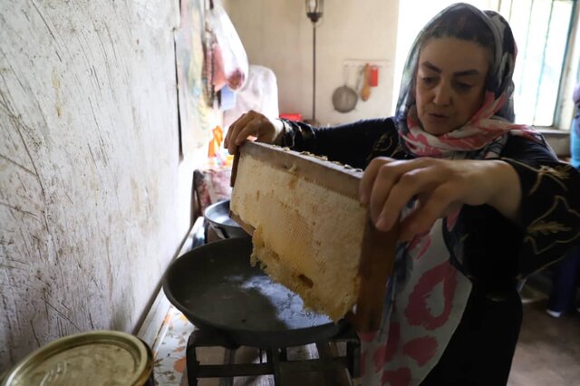 جاذبه های کشاورزی شهرستان اهر