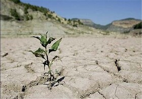 لزوم فرهنگسازی برای حفاظت از خاک