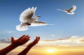 کمک ۸۵۰ میلیون تومانی مردم میانه برای آزادی زندانیان جرایم غیر عمد