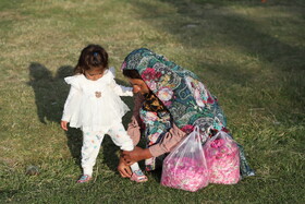 جشنواره برداشت گل محمدی عنصرود